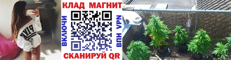  КОКАИН Старая Русса