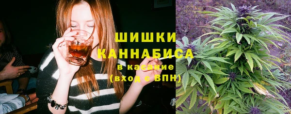 дурь Михайловск