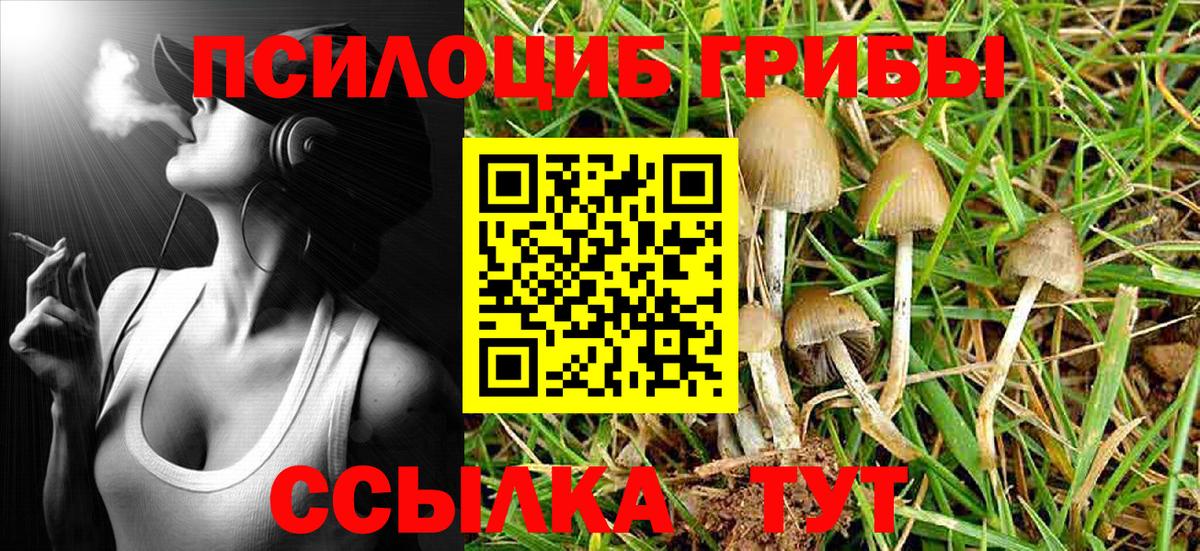 Псилоцибиновые грибы мухоморы  дарнет шоп  Старая Русса 