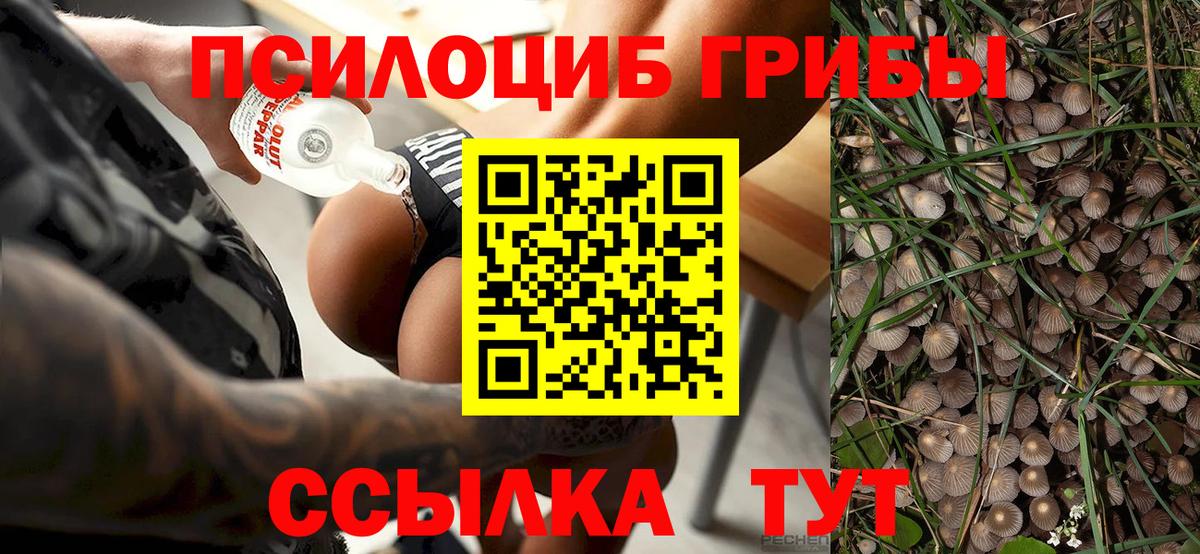 Галлюциногенные грибы Magic Shrooms  Галлюциногенные грибы мухоморы  Вход с VPN  Старая Русса 